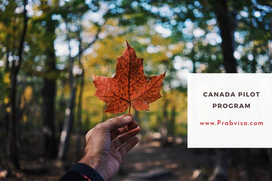 Complete Guide of Canada Pilot Program